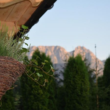 Fiedorowka Villa Zakopane Kültér fotó