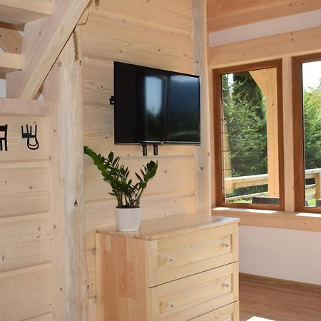 Fiedorowka Villa Zakopane Kültér fotó
