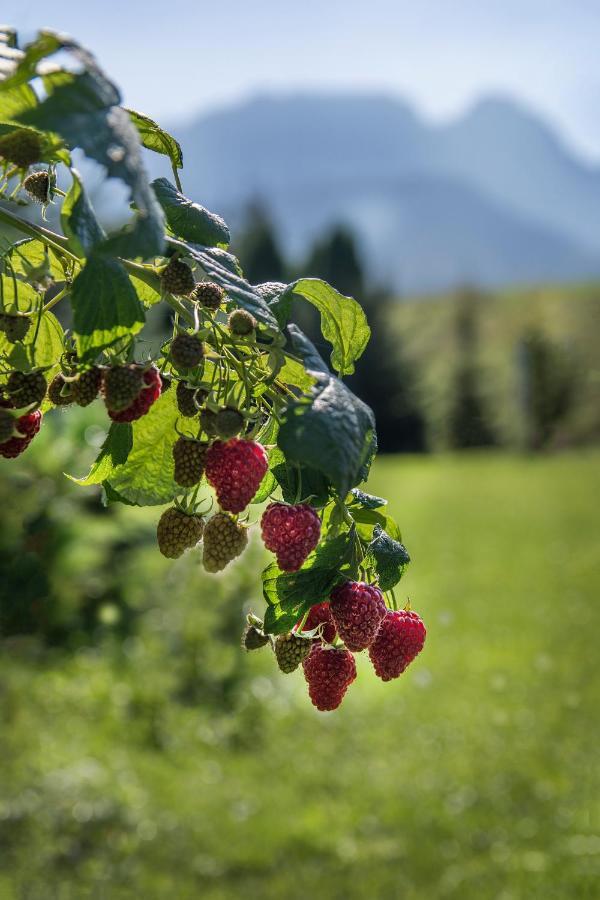 Fiedorowka Villa Zakopane Kültér fotó