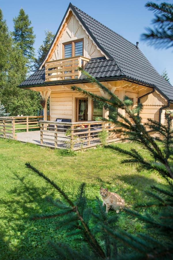 Fiedorowka Villa Zakopane Kültér fotó