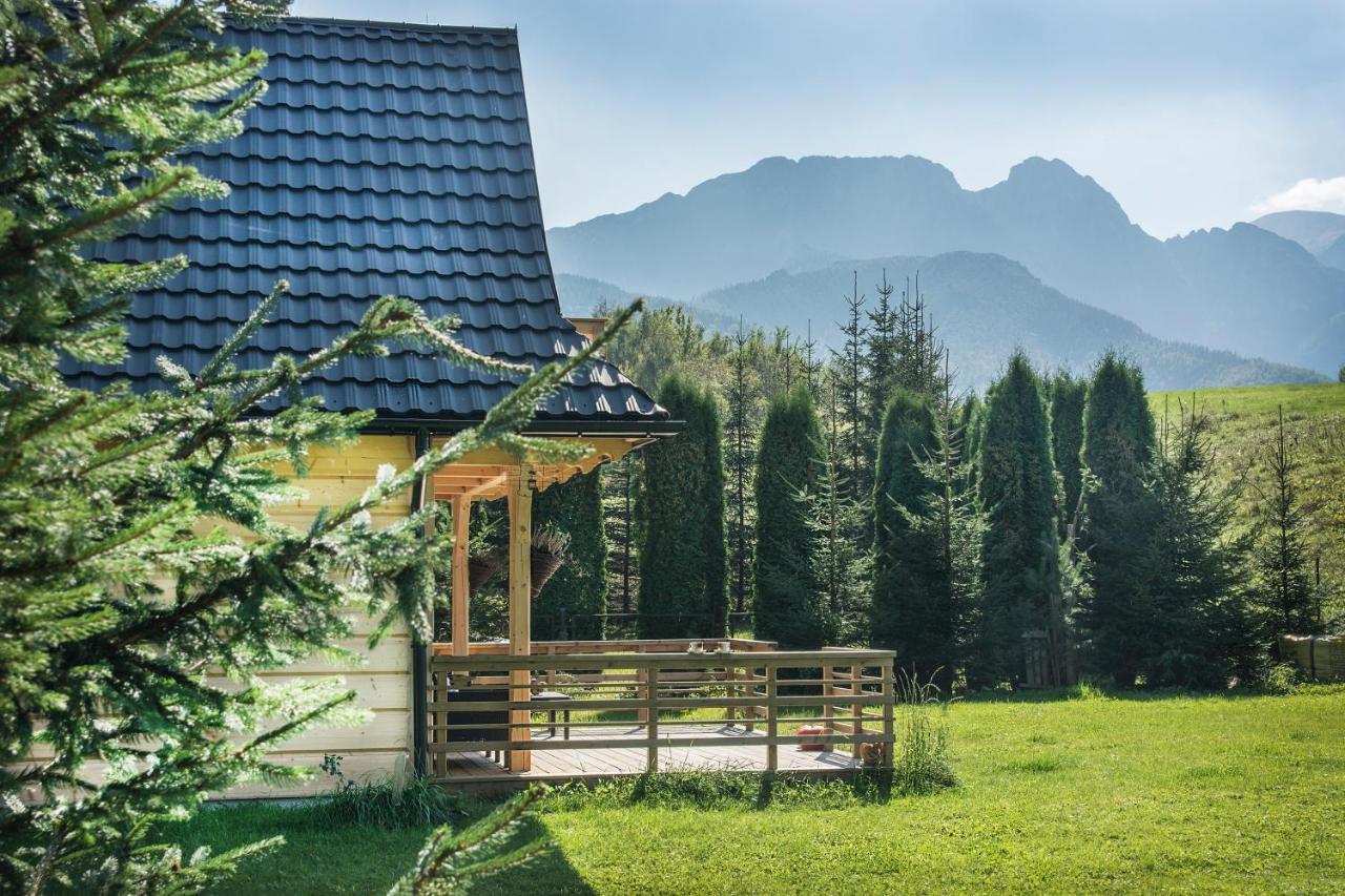 Fiedorowka Villa Zakopane Kültér fotó