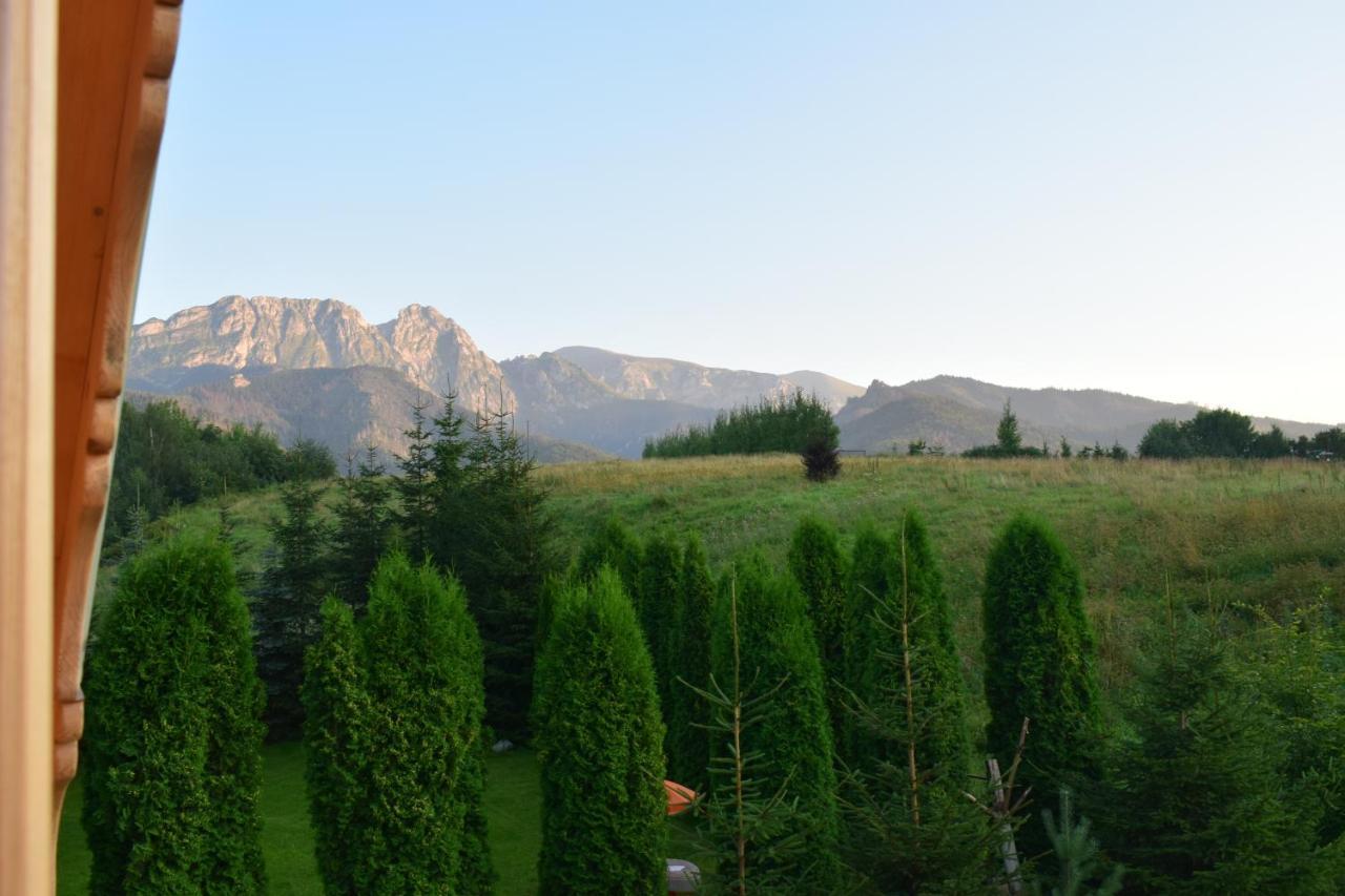 Fiedorowka Villa Zakopane Kültér fotó