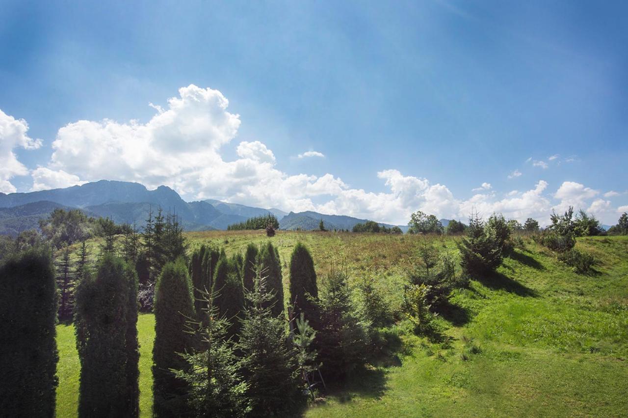 Fiedorowka Villa Zakopane Kültér fotó