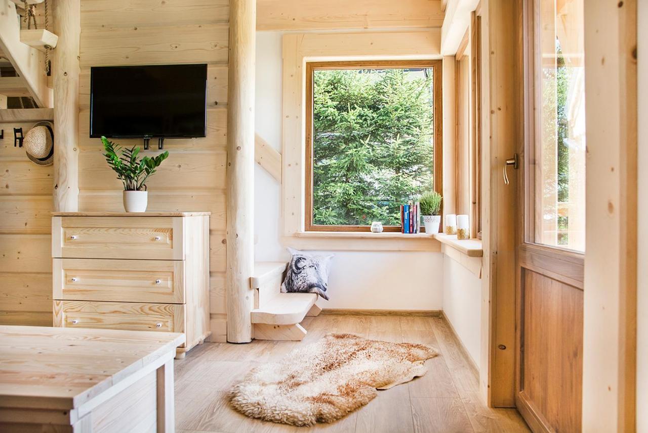 Fiedorowka Villa Zakopane Kültér fotó