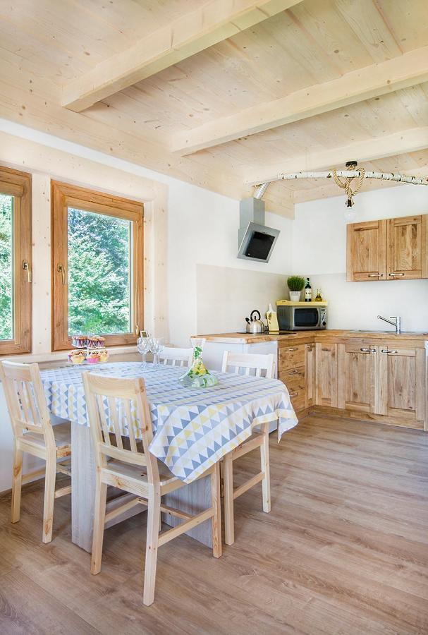 Fiedorowka Villa Zakopane Kültér fotó